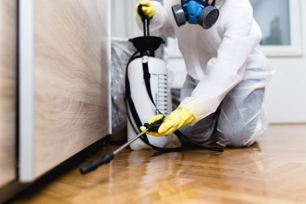 Flea Control Services in Friendswood, TX